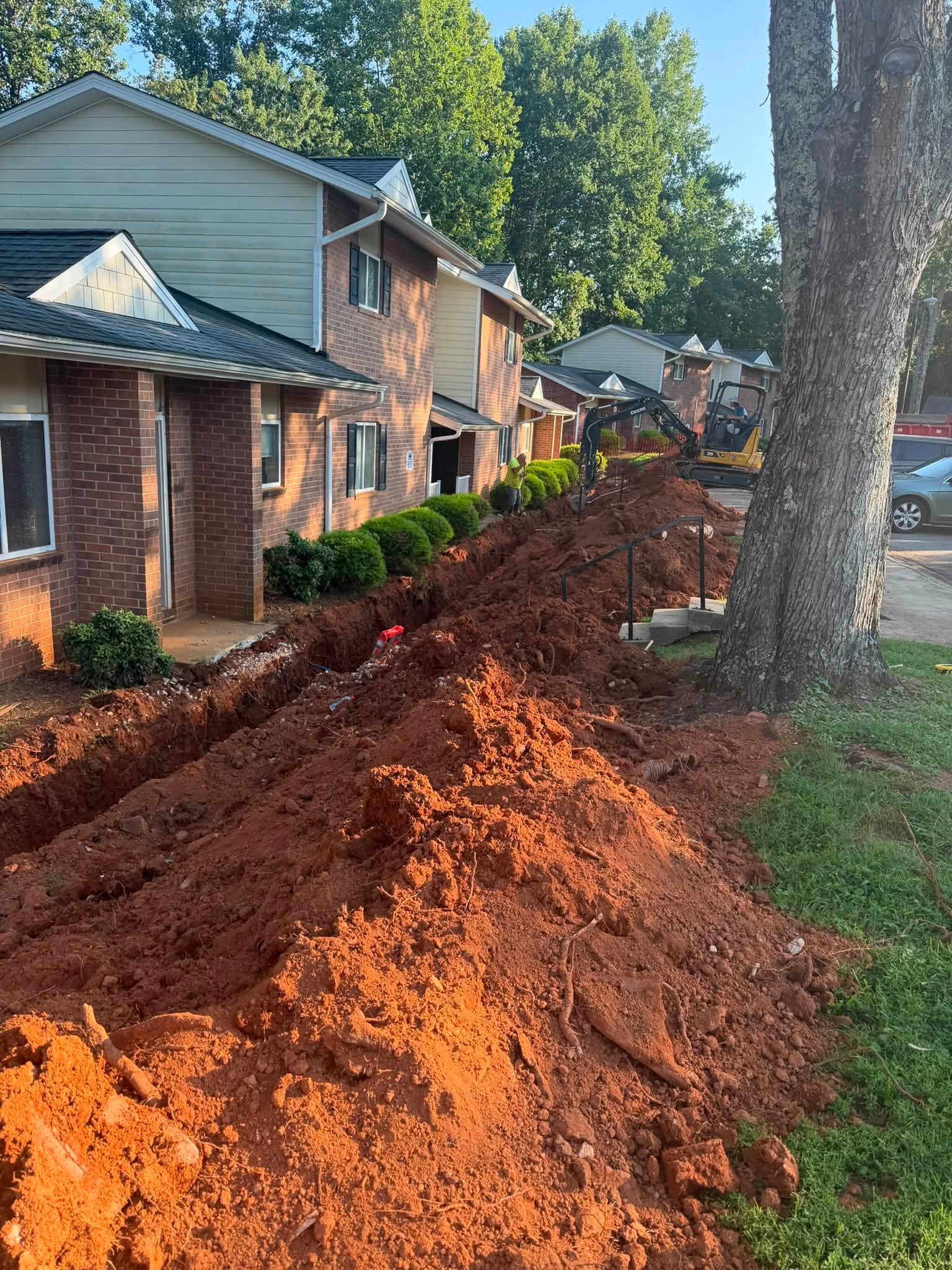 Water line trench excavated around a mature tree and along apartment building frontages on a sloped site