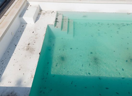 Partially filled swimming pool with clear turquoise water, scattered debris, leaves, and dirt resembling a basement drain backup; dirty pool steps and surrounding area highlight plumbing maintenance needs—Pipeworks Plumbing and Construction can resolve drainage issues and restore cleanliness. Partially filled swimming pool with clear turquoise water, scattered debris, leaves, and dirt resembling a basement drain backup; dirty pool steps and surrounding area highlight plumbing maintenance needs—Pipeworks Plumbing and Construction can resolve drainage issues and restore cleanliness.